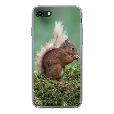 Produktbild von MuchoWow® Handyhülle Schutzhülle Hülle für iPhone 8 Waldtier - Eichhörnchen - Moos Silikon Softcase Handy Hülle - Schutzhaube