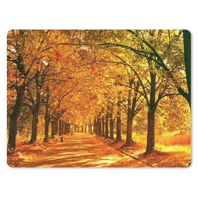 Produktbild von MuchoWow® Mauspad Mousepad Wald - Herbst - Jahreszeiten - Ländlich 40x30 cm - Mousepads - Maus Mat - Pad - Mausunterlage - Anti Rutsch