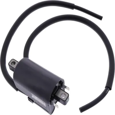 Immagine prodotto di Bobina di accensione per Yamaha TZR 250, anni di produzione 1987-1990, marca Pamoto - Nuova