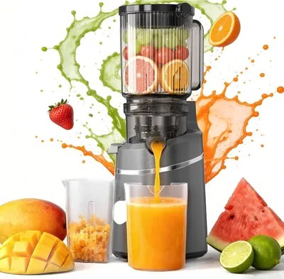 Produktbild von Saftpresse mit hohem Drehmoment, 120 mm Einfüllöffnung, für Gemüse und Obst, für die Küche