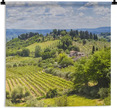 Produktbild von MuchoWow® Wandteppich Wandbehang Weinberge in der mittelalterlichen Stadt San Gimignano in Italien 90x90 cm Tapisserie Dekoration Wandtuch - Wandaufhänger