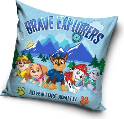 Immagine prodotto di Federa in microfibra 40x40 PAW PATROL