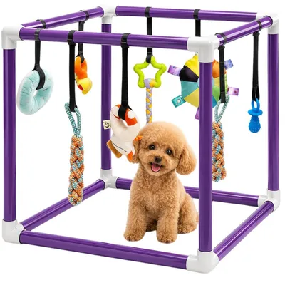 Produktbild von Welpenspielzeug Aktivitätszentrum mit 8 Hängespielzeugen, PVC Rahmen, für kleine Hunde 1-5 kg