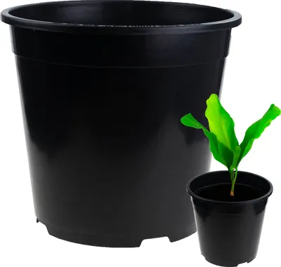 Obrázek produktu pro Výrobní květináč P24 7,5 l kulatý květináč s okrajem 24X24 cm