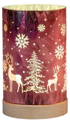 Produktbild von formano LED Deko Licht Weihnachten 15cm Wild-Berry Timer 6h/18h Weihnachten