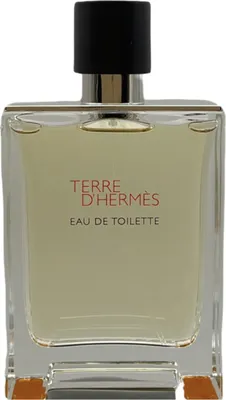 Obrázek produktu pro HERMES Terre D'Hermes EDT sprej 200ml