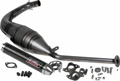 Immagine prodotto di Sistema di scarico Giannelli Strada con omologazione, carbonio per Aprilia RS 125 94-10 / Tuono 125 03-04
