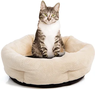 Produktbild von Katzenbett Cloey · Katzenkörbchen · beige · S · ca. 50 x 50 x 15 cm