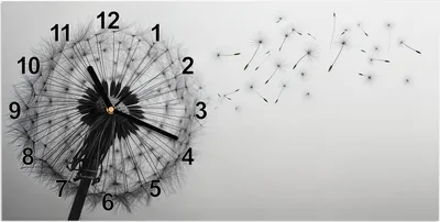 Produktbild von Wanduhr aus Glas mit Motiv Pusteblume im Wind- 60 x 30 cm - inkl. Aufhängesystem