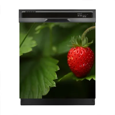 Produktbild von Magnete Dekorative 60x60 cm Küche Magnetmatte Spülmaschine - Wilde Erdbeere Beere