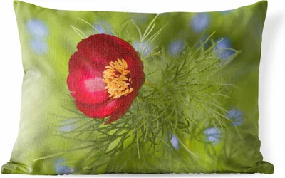 Produktbild von MuchoWow® Outdoor Kissen - Die rote Pfingstrose mit grünem Hintergrund - 60x40 cm - Wetterfest - Lounge Kissen - Zierkissen - Kissen für Innenräume