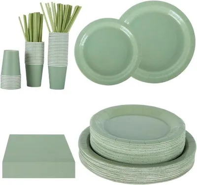 Productafbeelding van Famanu papieren borden en servetten set, 250 stuks, saliegroen - feestelijk servies voor 50 personen