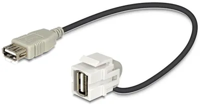Produktbild von Delock - Modulare Eingabe - USB Type A