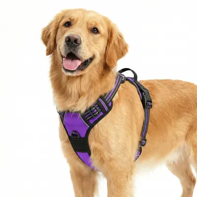 Produktbild von Hundegeschirr für mittelgroße Hunde, verstellbar mit Handgriff und reflektierenden Streifen