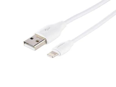 Obrázek produktu pro Nabíjecí a synchronizační kabel, 100 cm, USB > Lightning