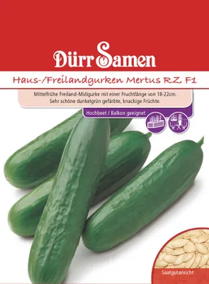 Artikelbild 1 von 'Treibgurke Mertus RZ F1' aus der Kategorie Gurkensamen