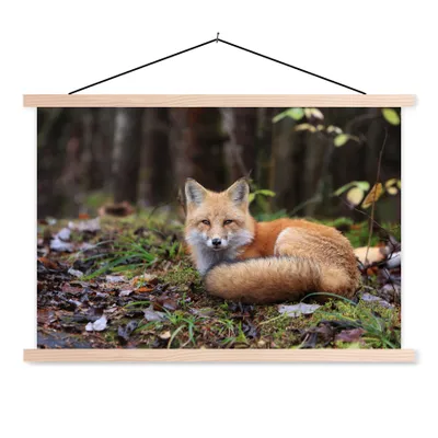 Produktbild von MuchoWow® Textilposter Fuchs - Wald - Tier 60x40 cm mit holzfarbenen Rahmen - Bilder