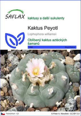 Obrázek produktu pro SAFLAX - Kaktus Peyotl - Lophophora williamsii - 20 Semena