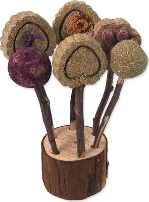 Obrázek produktu pro Hračka Small Animals lízátka okusovací 17cm