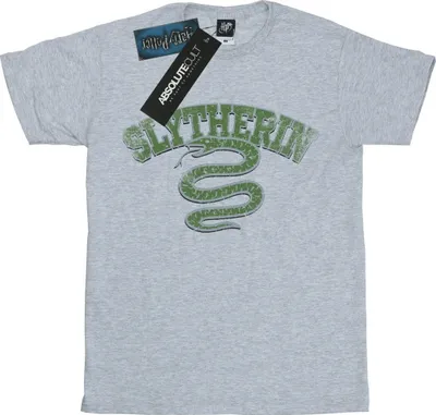 Produktbild von Harry Potter - "Slytherin" T-Shirt für Herren BI29012 (3XL) (Grau)