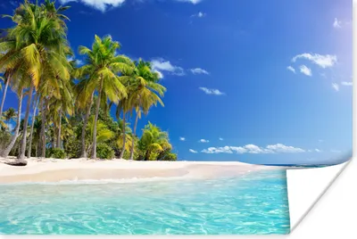 Produktbild von MuchoWow® Poster Strand - Meer - Palme 120x80 cm - Bilder