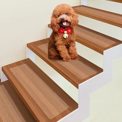 Produktbild von Famanu Transparente Treppenmatten 15 Stück selbstklebend für Holztreppen - 15 x 60 cm
