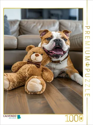 Produktbild von CALVENDO Puzzle Das ist mein Lieblingskuschelbär | 1000 Teile Lege-Größe 64x48cm Foto-Puzzle für glückliche Stunden