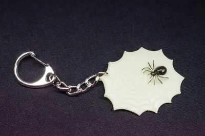 Produktbild von Spinnennetz mit Spinne Schlüsselanhänger Miniblings Anhänger Schlüsselring