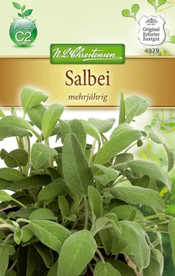 Produktbild von Salbei | Salbeisamen von N.L. Chrestensen