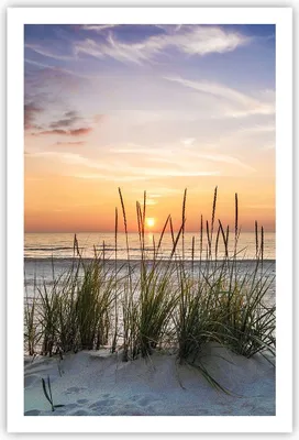 Produktbild von Poster - Poster ohne Rahmen - Westen Sonne Strand - 61x91,5 cm - Wand Bild - Wanddeko - Wandbilder - Kunstposter - Wandposter - Bilder - Kunstdruck - Wanddekoration - Wandbild - P2XPA61x91-4201
