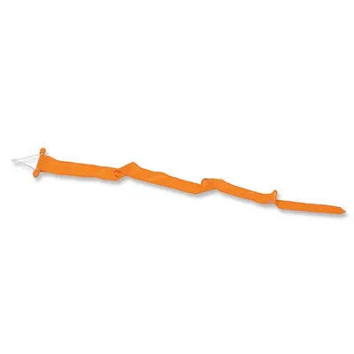 Image de Autres marques Mât de drapeau Fanion orange