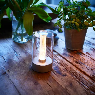 A modern LED table lamp with a filament bulb sits on a rustic wooden table, next to a vase of green plants and a potted plant.