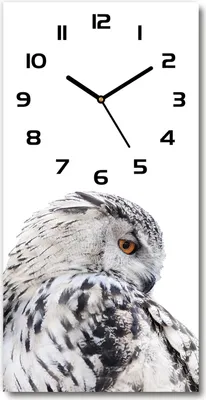 Produktbild von Wanduhr aus Glas – 30x60 cm - Glasbild - Glasuhr - Gehärtetes Glas -Weiße Eule