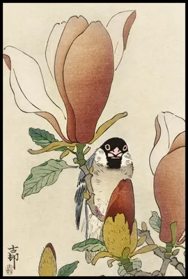 Produktbild von Plakat 61x91,5cm Spatz, Japanischer Koson Vintage für das Wohnzimmer