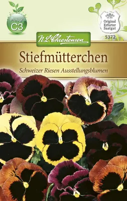 Produktbild von Stiefmütterchen Schweizer Riesen | Stiefmütterchensamen von N.L. Chrestensen