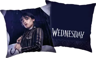 Produktbild von Obojstranný vankúš Wednesday - Rain