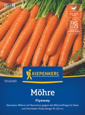 Produktbild von Kiepenkerl Möhrensamen Flyaway F1 Daucus carota 8-10 lfd. Meter