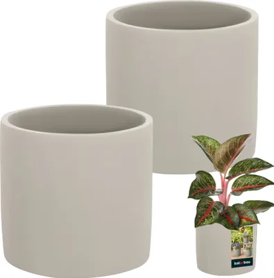 Two light gray ceramic cylinder planters are shown, with one planter in the foreground and another in the background. A small potted plant with green and red leaves is placed in front of the foreground planter.