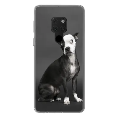 Produktbild von MuchoWow® Handyhülle Schutzhülle Hülle für Huawei P40 Lite Hund - Spot - Porträt Silikon Softcase Handy Hülle