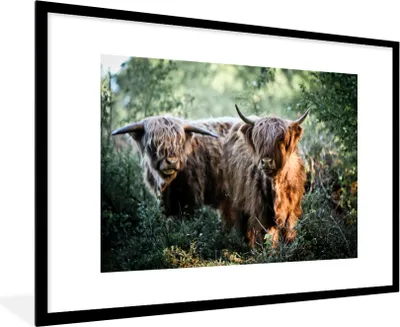 Produktbild von MuchoWow® MuchoWow® Gerahmtes Poster Schottische Hochlandrind - Wald - Tiere 90x60 cm - Poster mit zchwarzem Bilderrahmen - Wanddekoration - Fotos