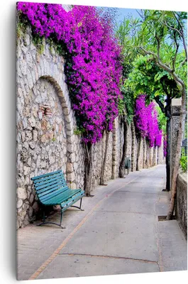 Produktbild von Bild auf Leinwand - Leinwandbild - Einteilig - Pflanzen Bank Straße Sommer - 70x100cm - Wand Bild - Wanddeko - Wandbilder - Leinwanddruck - Wanddekoration - Leinwand bilder - Wandbild - PA70x100-2790