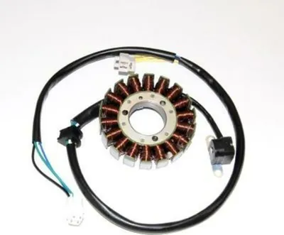 Imagen del producto de ElectroSport, estator ESG181 para alternador, compatible con:* Cuatrimotos LT-Z 400 Quadsport (28 kW)* Cuatrimotos DVX 400* Cuatrimotos KFX 400 (15 kW)