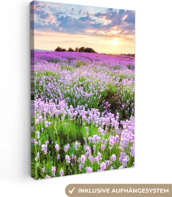 Produktbild von Leinwand Bilder 80x120 cm - Blumen - Lavendel - Lila - Sonnenuntergang - Natur, Bilder, Deko, Wanddeko, Leinwand Bilder