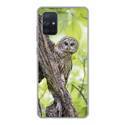 Produktbild von MuchoWow® Handyhülle Schutzhülle Hülle für Samsung Galaxy A51 5G Eule - Wald - Licht Silikon Softcase Handy Hülle - Abbildung
