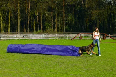 Produktbild von Karlie Agility Tunnel mit Sack - Hundetraining - Nylon - Blau - 500x60x60 cm