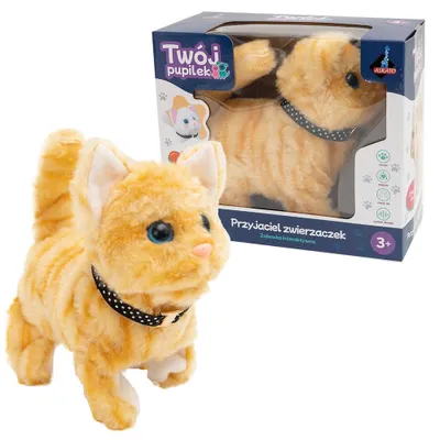Immagine prodotto di Il tuo gattino marrone