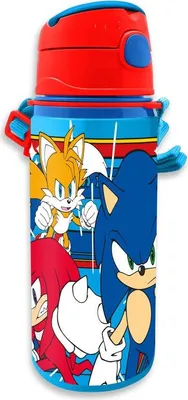 Image de Gourde en aluminium Sonic The Hedgehog 600 ml pour enfants