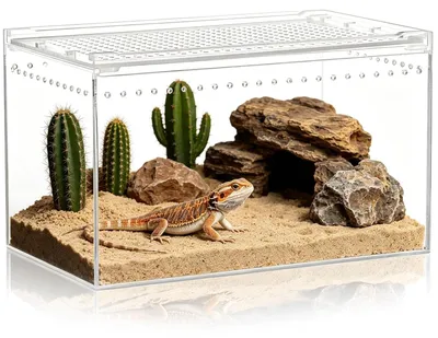 Produktbild von Acryl-Terrarium für Reptilien mit Belüftung