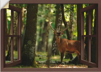 Produktbild von wejciechnowak: Fensterblick - Hirsch 4 - Wald, Produkt:Vinylfolie, Größe (HxB):90x130 cm / Vinyl