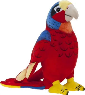 Obrázok produktu pre Heunec SOFTISSIMO papagáj, veľkosť 20 cm